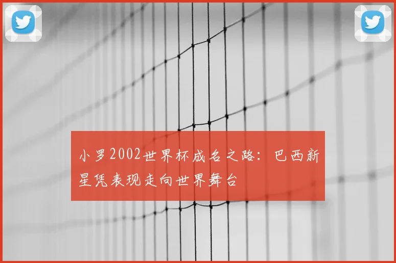 小罗2002世界杯成名之路：巴西新星凭表现走向世界舞台