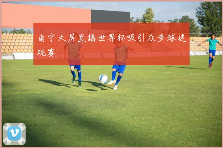 南宁大屏直播世界杯吸引众多球迷观赛
