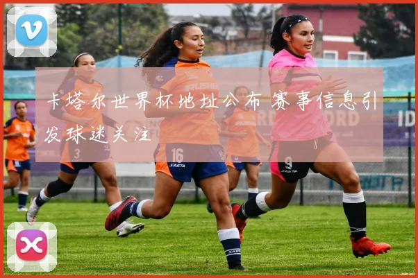卡塔尔世界杯地址公布 赛事信息引发球迷关注