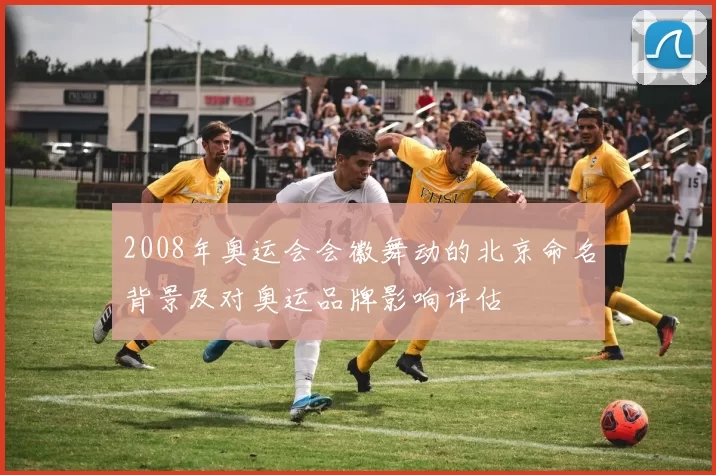2008年奥运会会徽舞动的北京命名背景及对奥运品牌影响评估